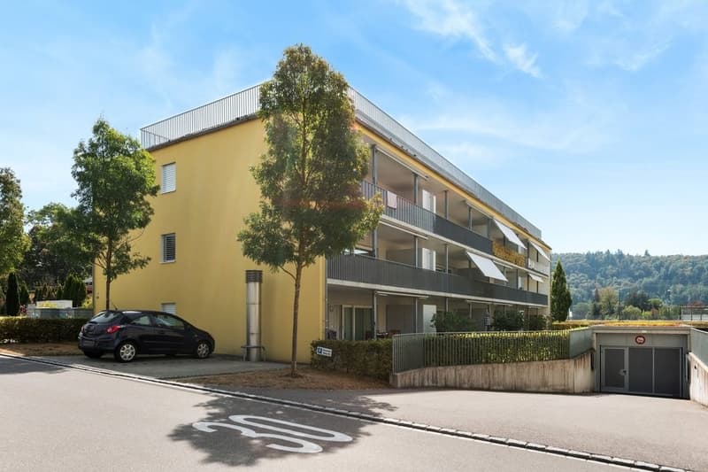 APPARTAMENTO MANSARDA SPazioso CON GRANDE TERRAZZA SOLEGGIATA (4)