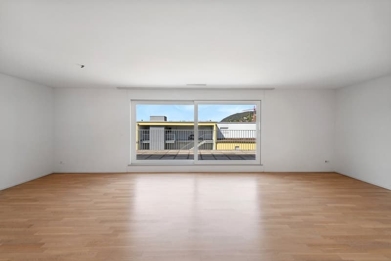 APPARTAMENTO MANSARDA SPazioso CON GRANDE TERRAZZA SOLEGGIATA (5)