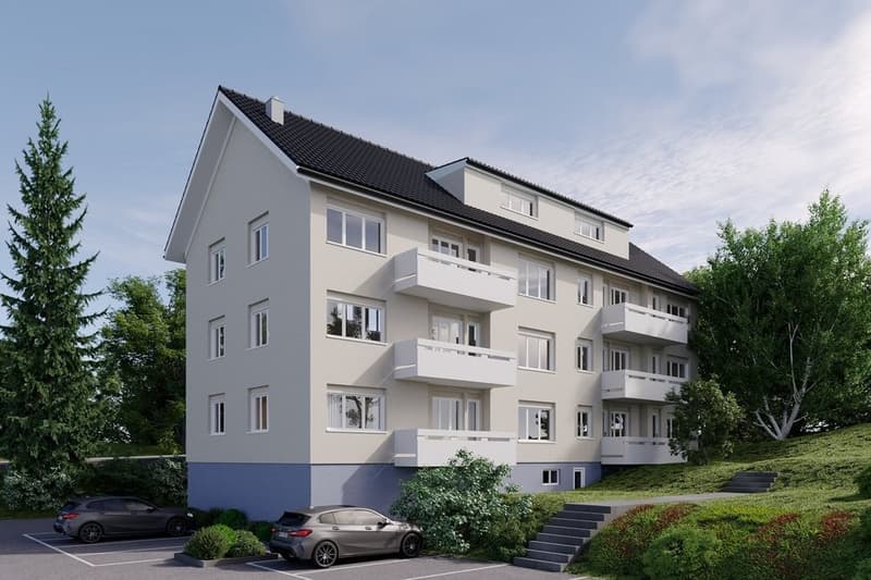 FRISCH RÉNOVÉ : APPARTEMENT MODERNE AVEC BALCON ET ÉQUIPEMENT DE HAUTE GAMME (1)