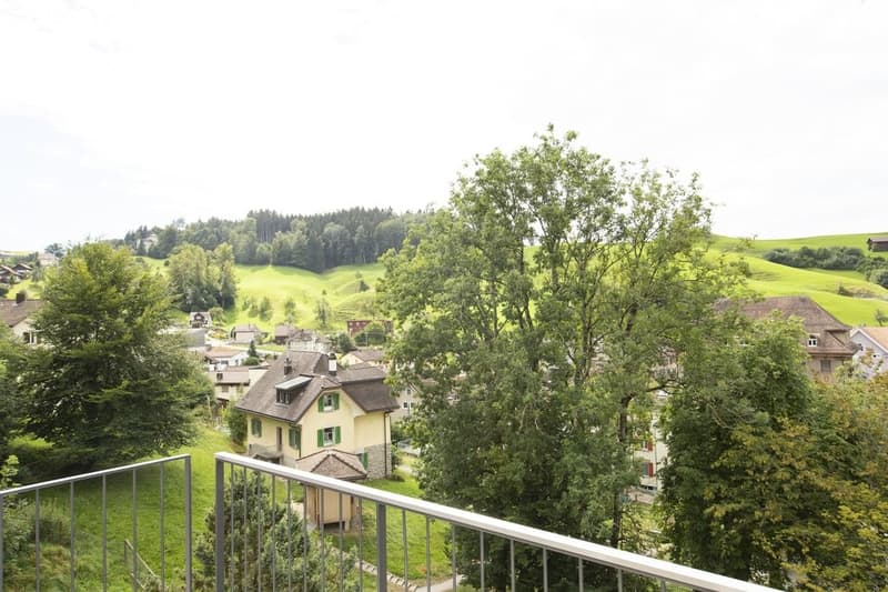 Charming apartment with balcony and washing tower for rent (10)