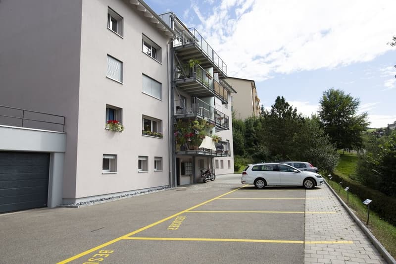 Charming apartment with balcony and washing tower for rent (7)