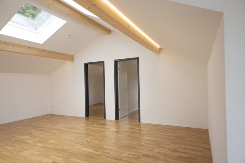 Charming apartment with balcony and washing tower for rent (3)