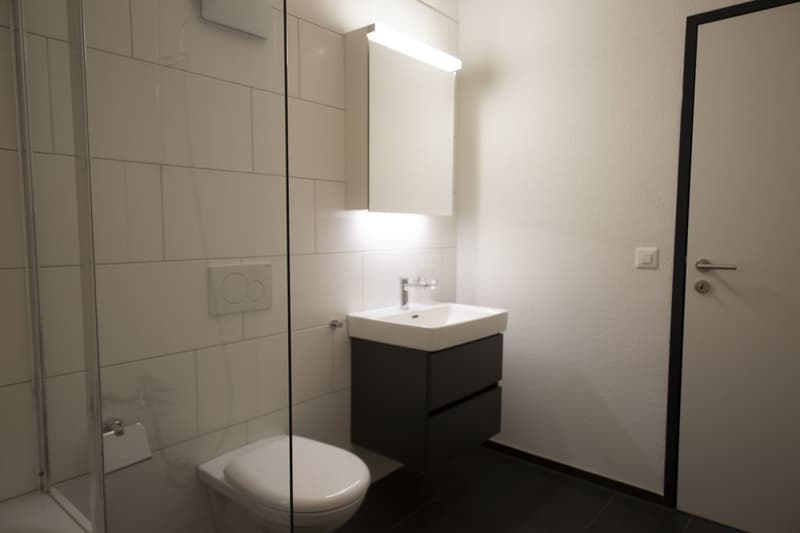 Charming apartment with balcony and washing tower for rent (6)