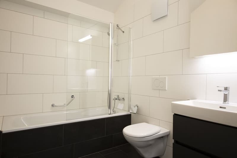 Charming apartment with balcony and washing tower for rent (5)