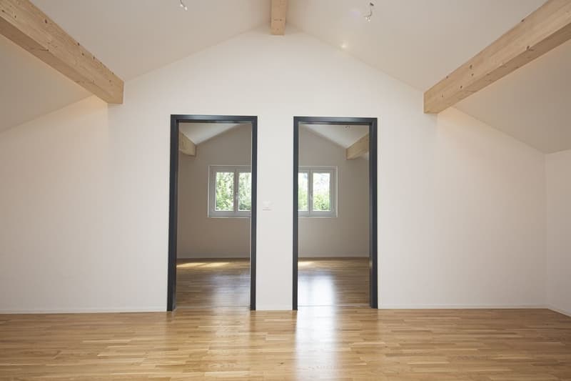 Charming apartment with balcony and washing tower for rent (2)