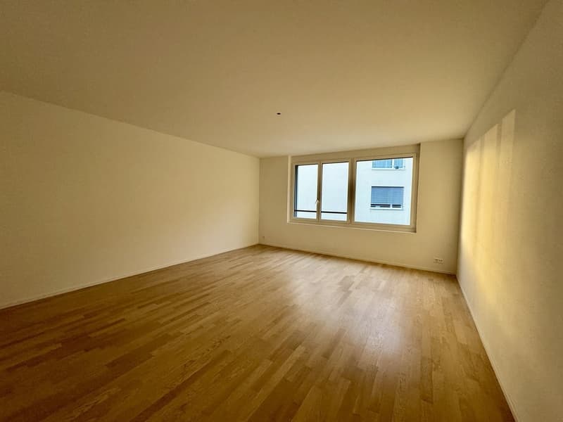 MODERN MIT GROSSZÜGIGEM AUSSENBEREICH (12)