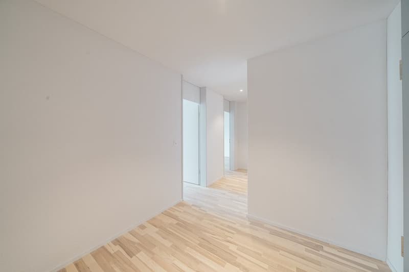 Appartement mansarde moderne à louer (8)