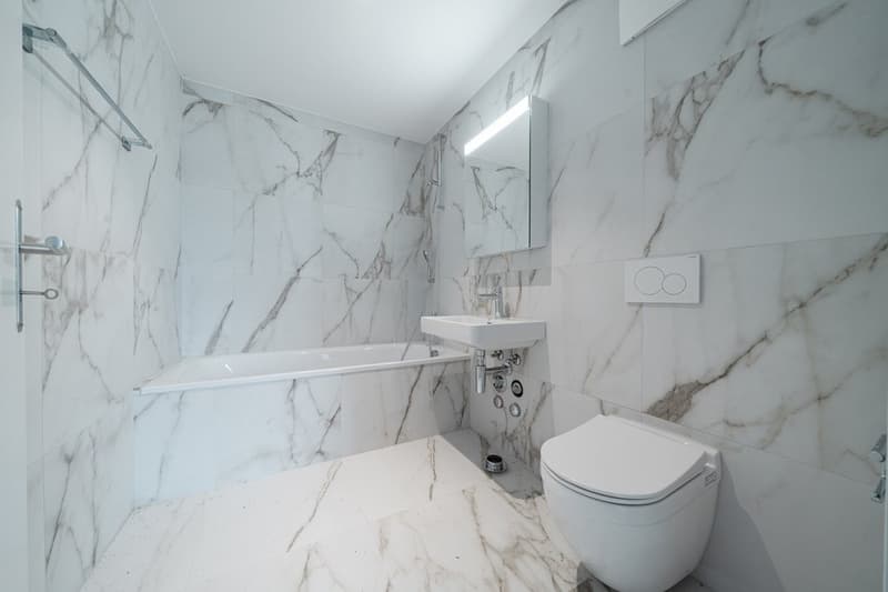 Appartement mansarde moderne à louer (5)