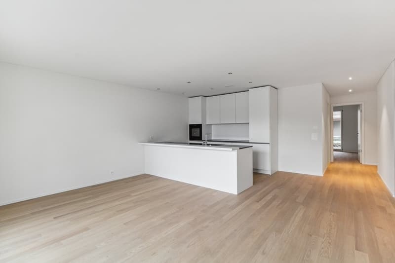 Habitation idyllique dans un standard de propriété (9)