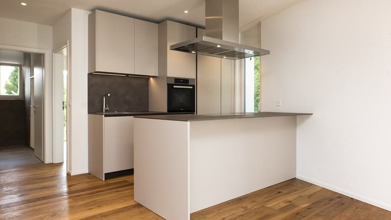 LICHTDURCHFLUTETE 3.5 ZIMMER-WOHNUNG MIT GROSSER TERRASSE (6)
