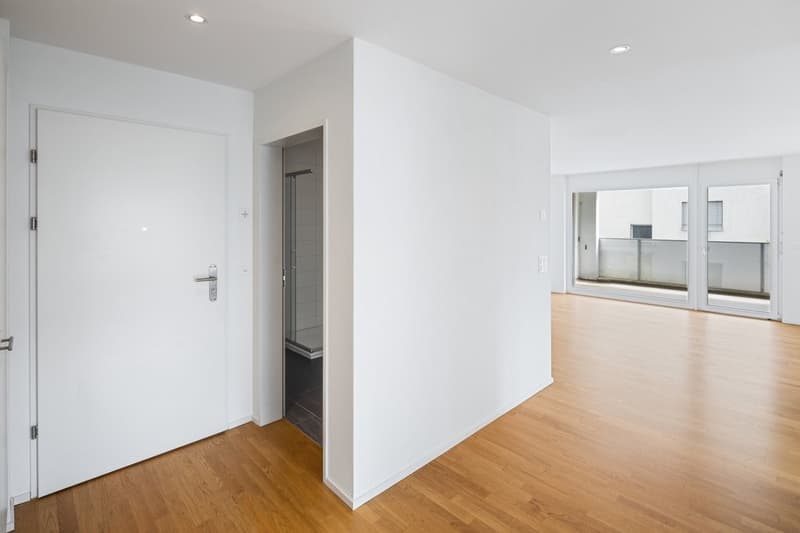 Appartement de rêve dans un endroit calme à louer (7)
