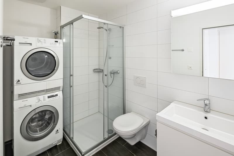 Appartement de rêve dans un endroit calme à louer (5)