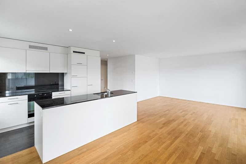 Appartement de rêve dans un endroit calme à louer (3)