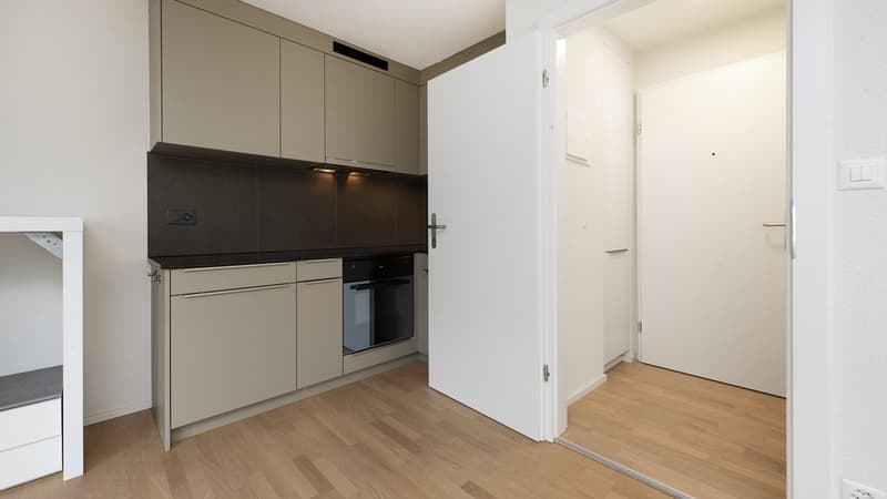 Appartamento moderno in affitto (2)