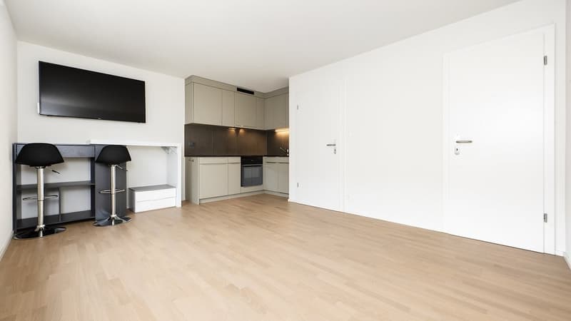 Appartamento moderno in affitto (5)