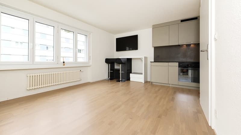 Appartamento moderno in affitto (3)