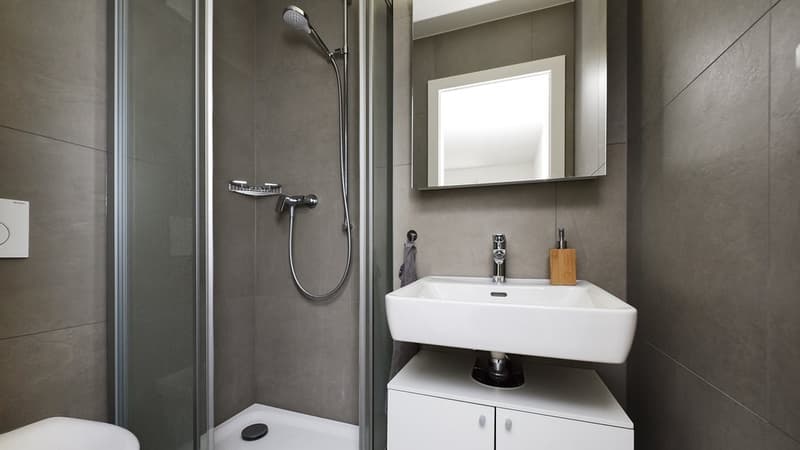 Appartamento moderno in affitto (7)
