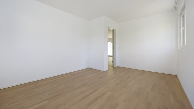 Comfort di vita luminoso con posto a sedere all'aperto soleggiato (7)