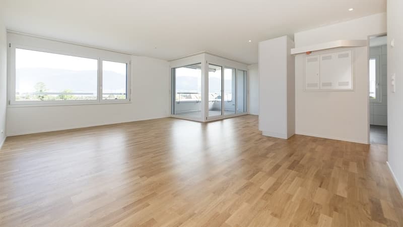 ESPACE DE VIE SPACIEUX (3)