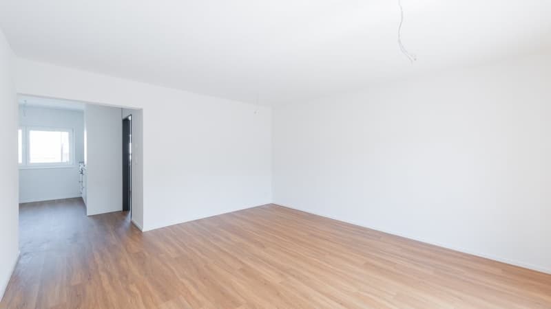 APPARTEMENT LUMINEUX ET ACCUEILLANT DE 4,5 PIÈCES À WATTWIL (5)