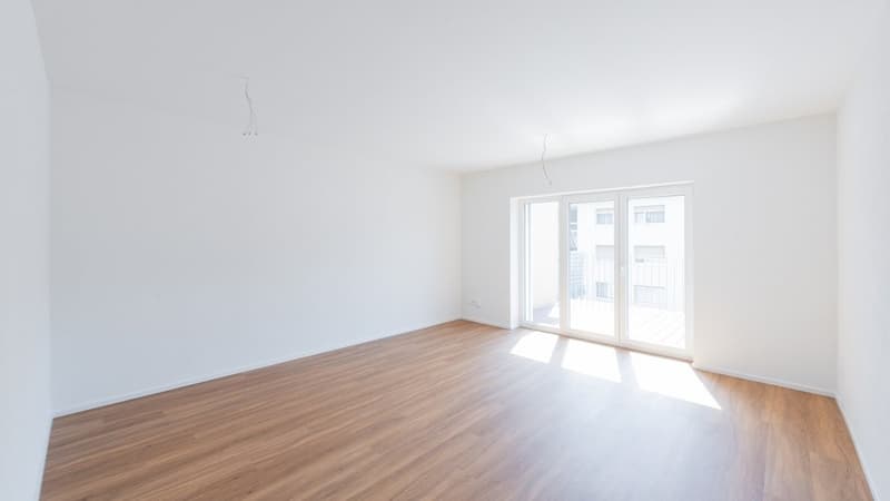 APPARTEMENT LUMINEUX ET ACCUEILLANT DE 4,5 PIÈCES À WATTWIL (2)