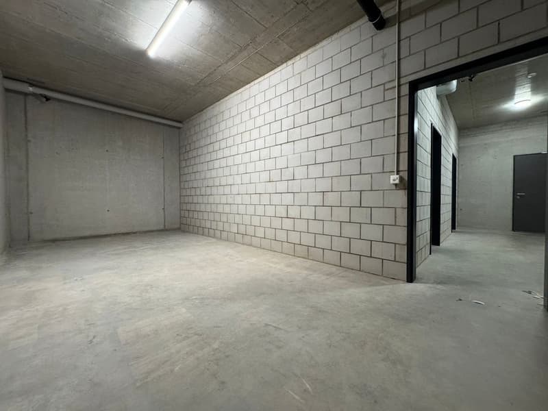 AMPIO E POLIVALENTE SPAZIO HOBBY A WÖLFLINSWIL (2)
