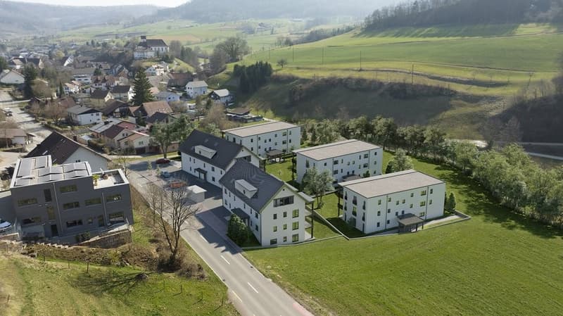 AMPIO E POLIVALENTE SPAZIO HOBBY A WÖLFLINSWIL (1)