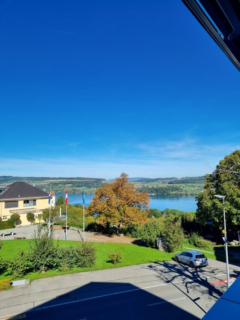 EXCLUSIVE WELLNESS OASIS - BREATHTAKING LAKE VIEW (3)