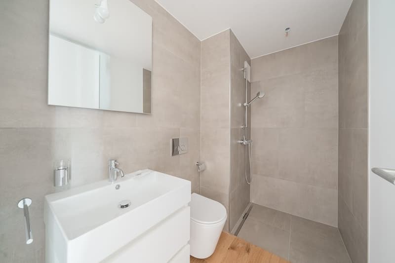 APPARTEMENT DE JARDIN SPACIEUX ET CHARMANT - RÉNOVÉ RÉCEMMENT (11)