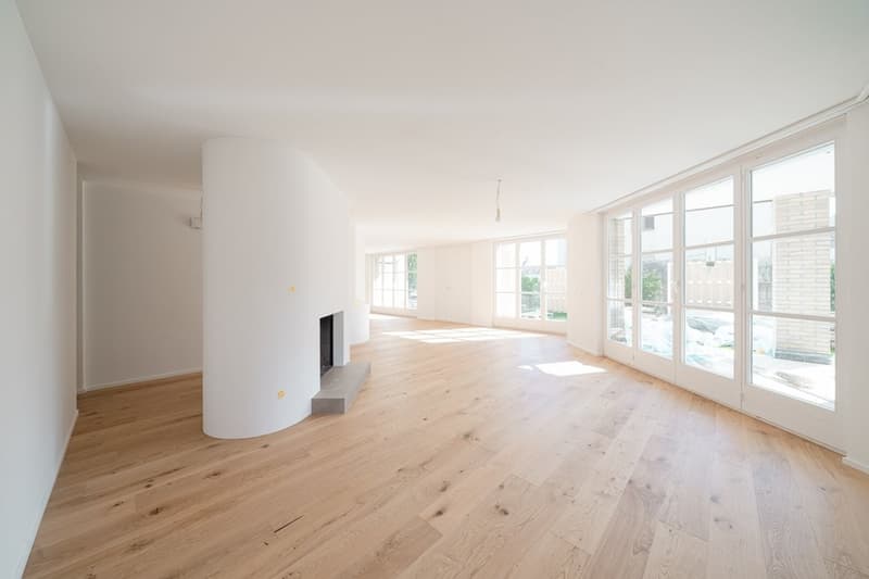 APPARTEMENT DE JARDIN SPACIEUX ET CHARMANT - RÉNOVÉ RÉCEMMENT (2)