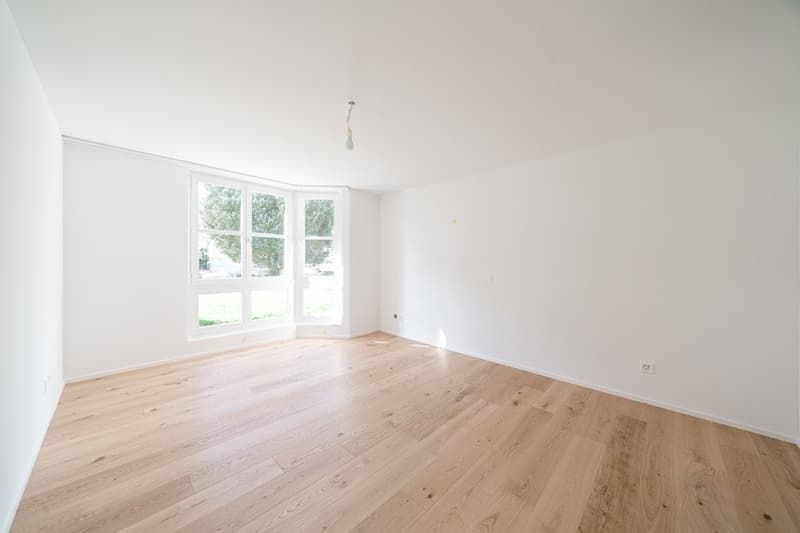APPARTEMENT DE JARDIN SPACIEUX ET CHARMANT - RÉNOVÉ RÉCEMMENT (6)
