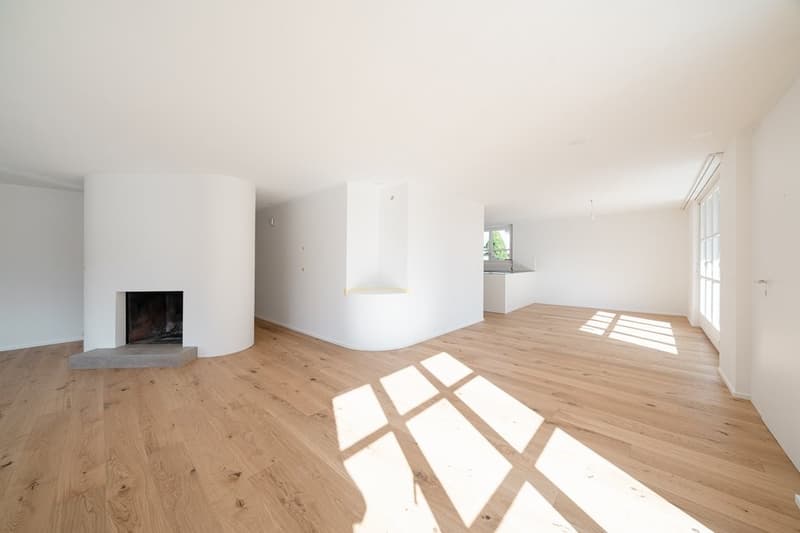 APPARTEMENT DE JARDIN SPACIEUX ET CHARMANT - RÉNOVÉ RÉCEMMENT (5)