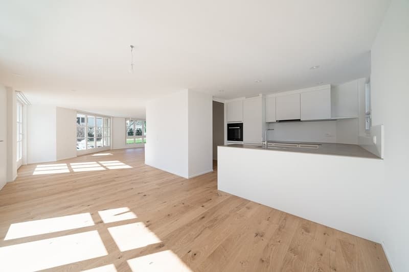 APPARTEMENT DE JARDIN SPACIEUX ET CHARMANT - RÉNOVÉ RÉCEMMENT (3)