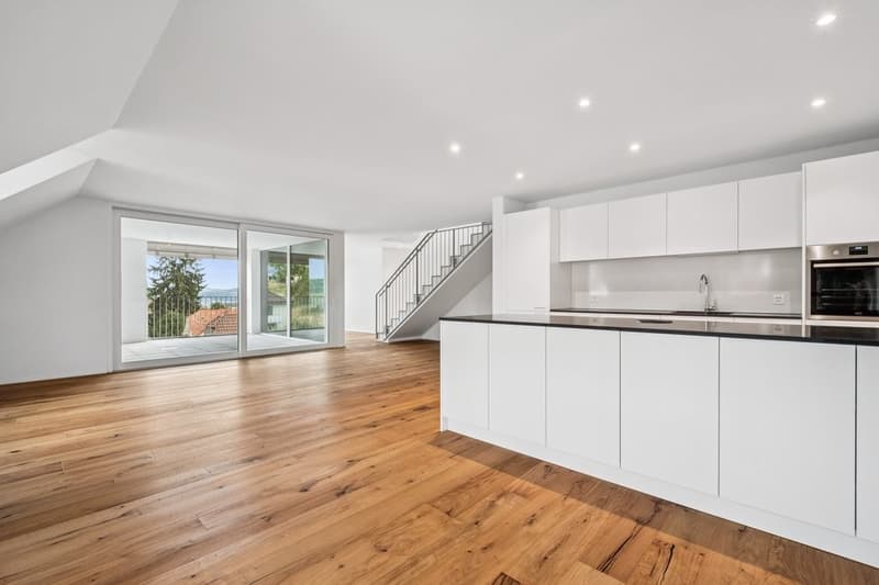 Appartamento Maisonette Moderno in Affitto a Menziken (4)
