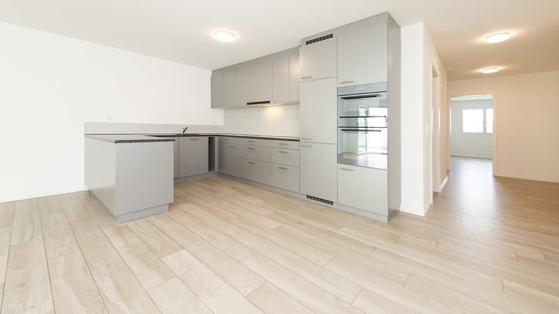 Modern and very spacious (2)