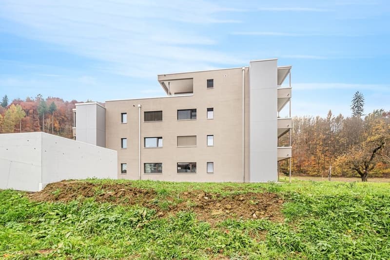 OASE DE RESIDENCE EXCLUSIVE DANS UN STANDARD DE PROPRIÉTÉ (1)