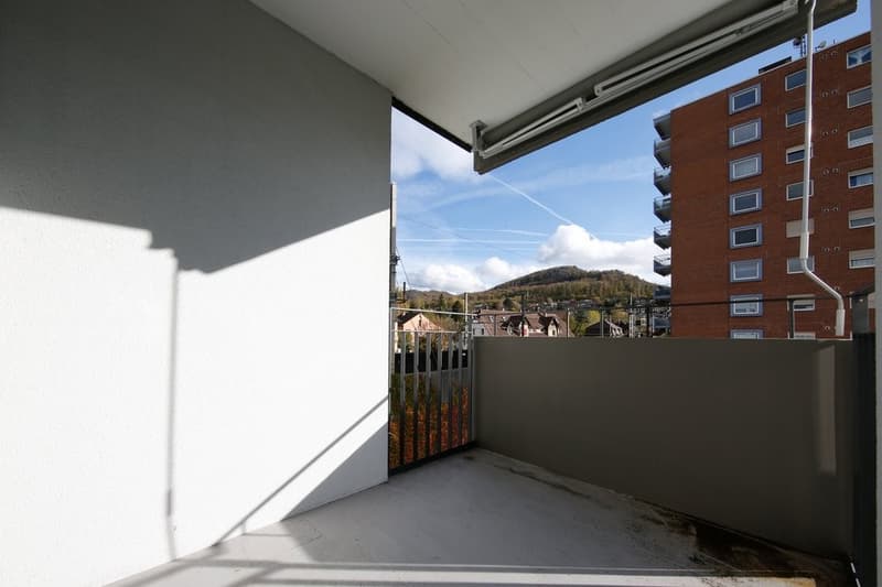 APPARTAMENTO SPazioso IN AFFITTO IN POSIZIONE IDEALE (9)