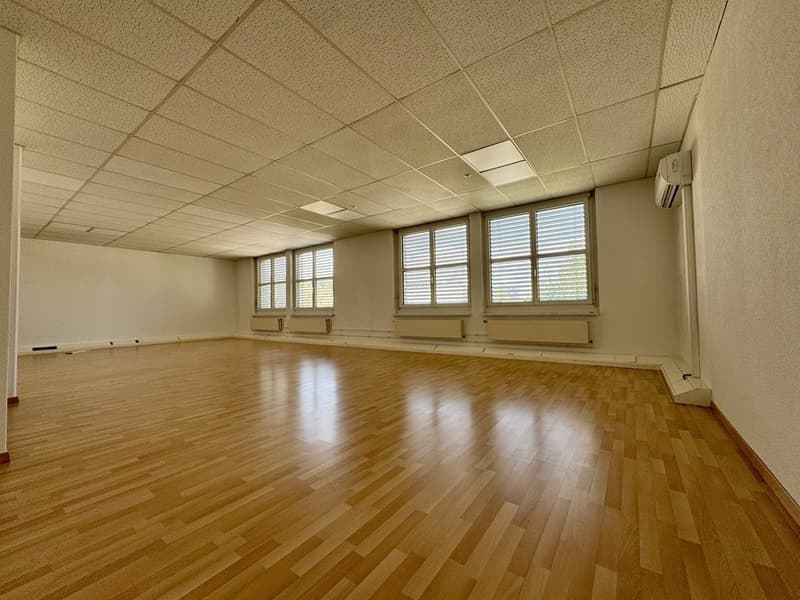 Commercial premises in a central location (3)