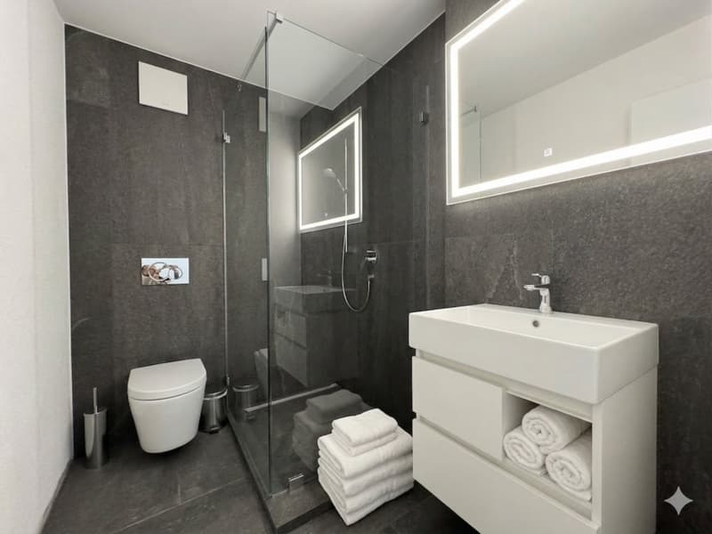 FIRST RENTAL AFTER RENOVATION - 2.5 ROOM APARTMENT (5)
