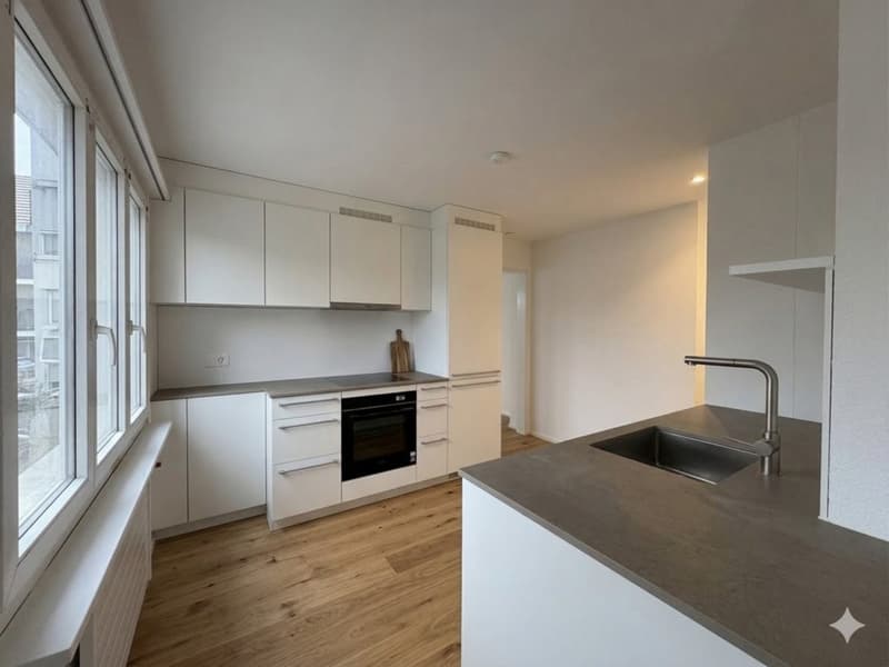 FIRST RENTAL AFTER RENOVATION - 2.5 ROOM APARTMENT (4)