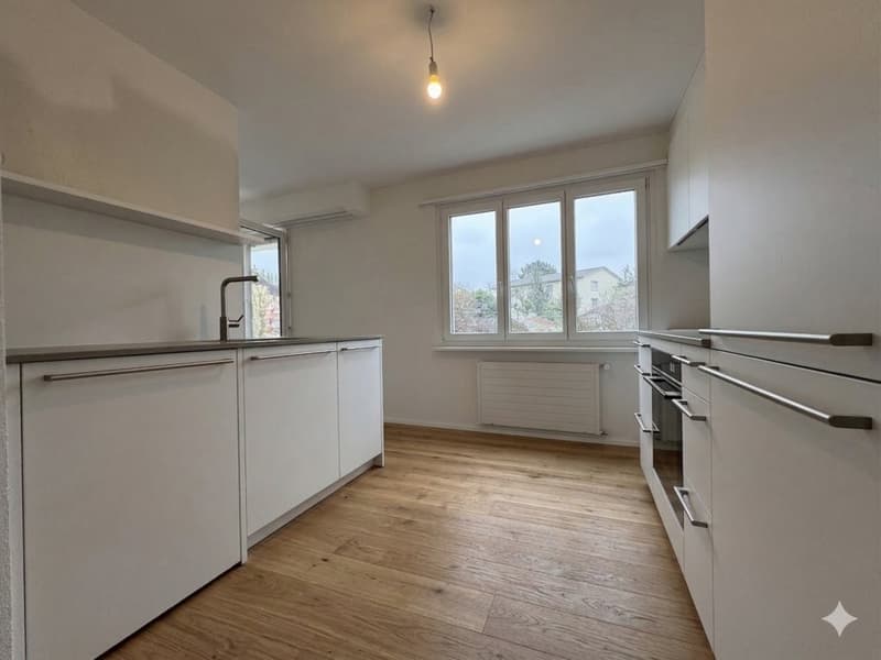 FIRST RENTAL AFTER RENOVATION - 2.5 ROOM APARTMENT (3)
