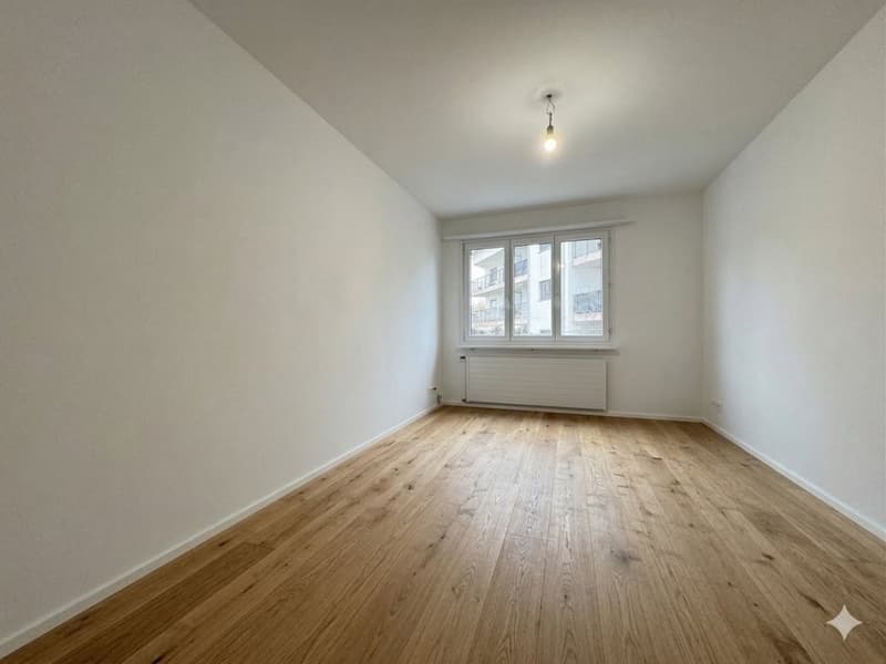 FIRST RENTAL AFTER RENOVATION - 2.5 ROOM APARTMENT (6)
