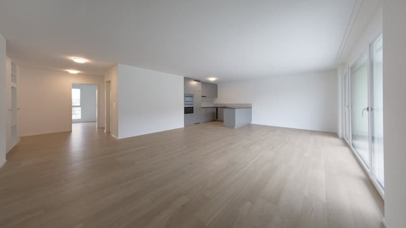 SPACIOUS AND BRIGHT (11)