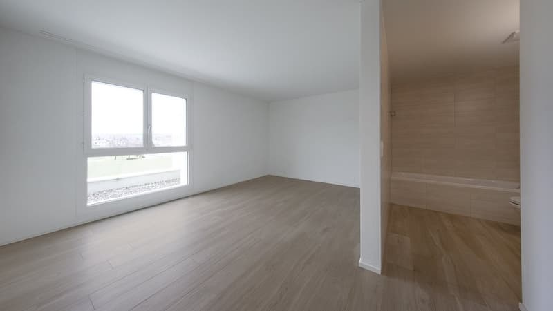 SPACIOUS AND BRIGHT (5)