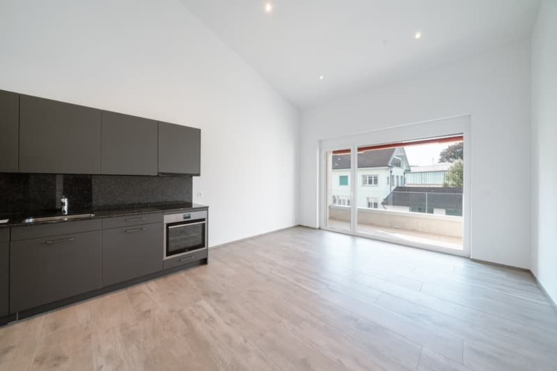 Appartamento Single Perfetto ad Arbon (3)