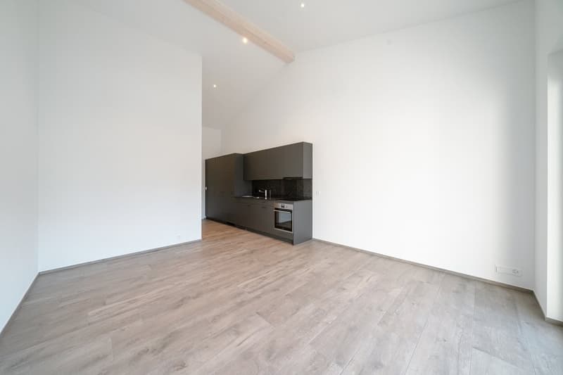 Appartamento Single Perfetto ad Arbon (2)