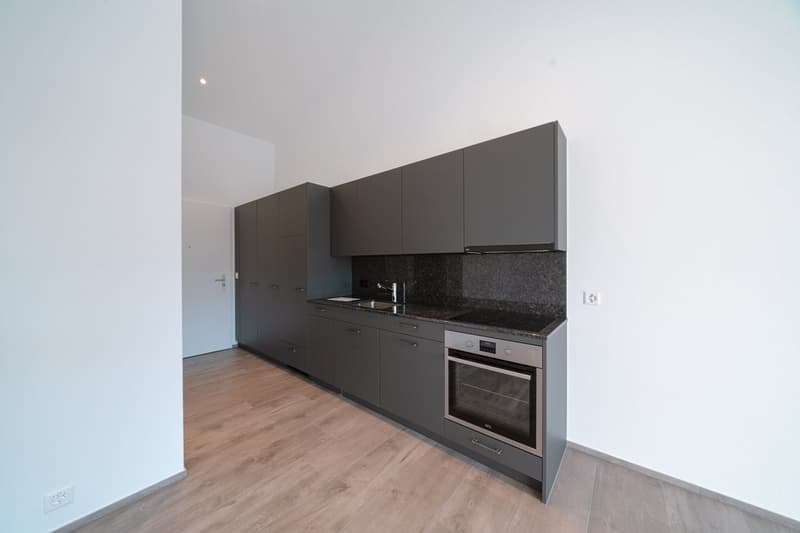 Appartamento Single Perfetto ad Arbon (4)