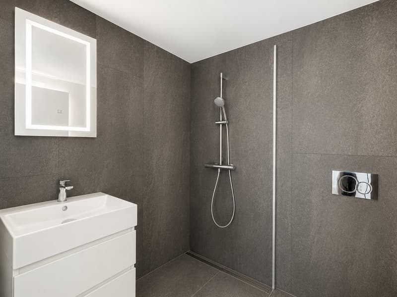FIRST RENTAL AFTER RENOVATION (6)