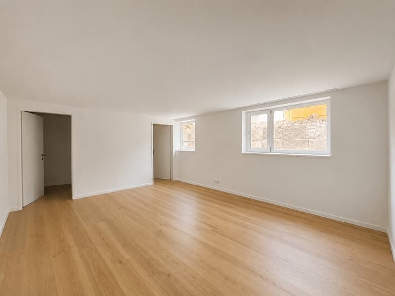 FIRST RENTAL AFTER RENOVATION (4)