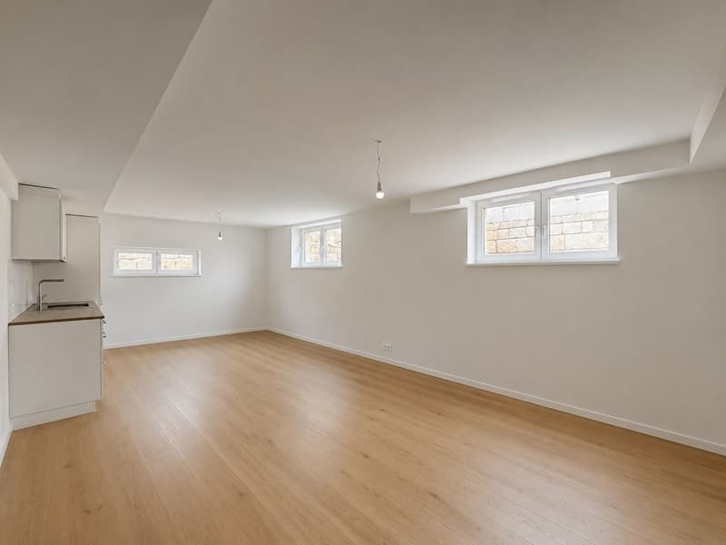 FIRST RENTAL AFTER RENOVATION (3)